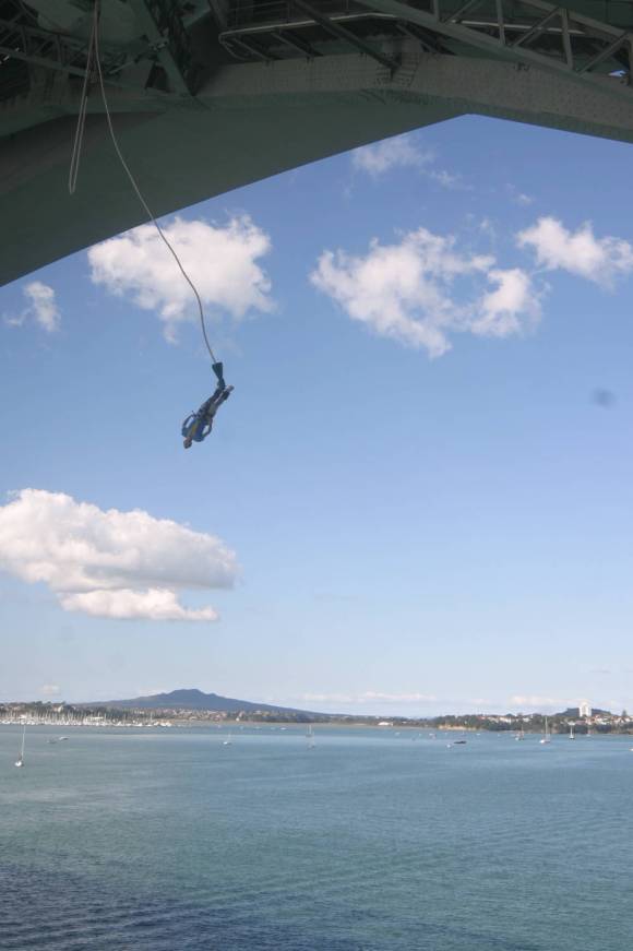 Bungy